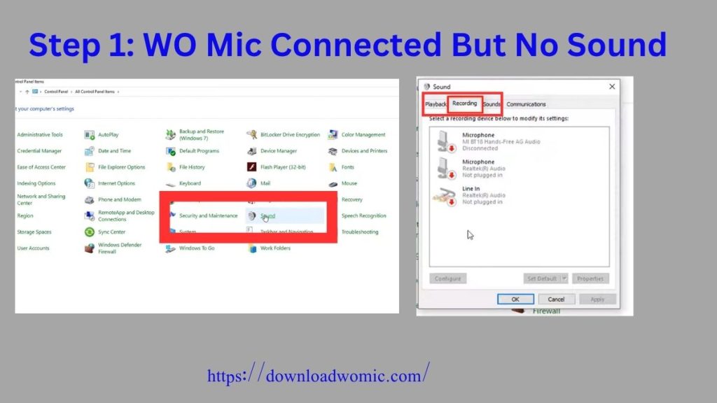 Step 1 WO Mic Connected But No Sound