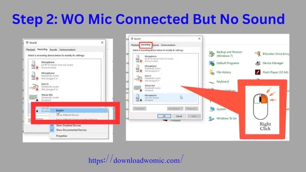 Step 2 WO Mic Connected But No Sound